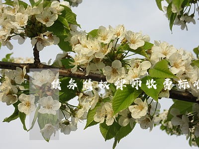 债务债权律师收费标准是多少 债务债权律师收费标准是多少