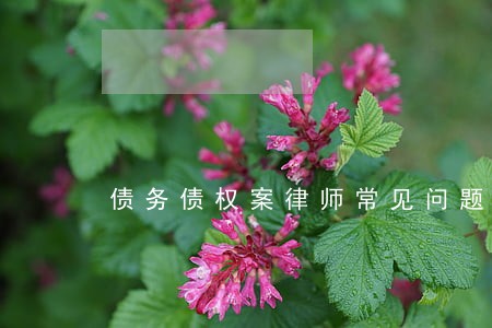 债务债权案律师常见问题 债务债权案律师常见问题