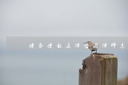 债务债权法律咨询律师怎么收费 债务债权法律咨询律师怎么收费