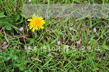 债务债权法律咨询电话 债务债权法律咨询电话