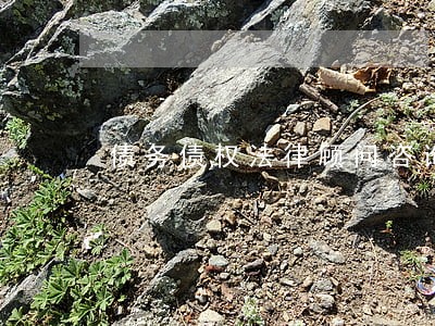 债务债权法律顾问咨询 债务债权法律顾问咨询