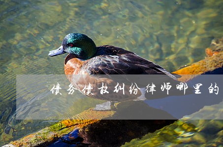 债务债权纠纷律师哪里的好 债务债权纠纷律师哪里的好