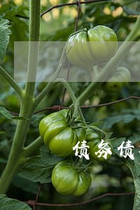 债务债权纠纷律师费用纠纷 债务债权纠纷律师费用纠纷