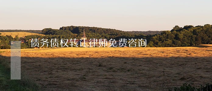 债务债权转让律师免费咨询 债务债权转让律师免费咨询
