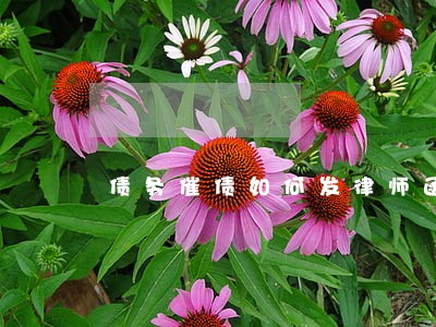 债务催债如何发律师函 债务催债如何发律师函