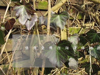 债务免费咨询律师问题 债务免费咨询律师问题