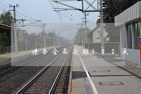 债务全面逾期300天 债务全面逾期300天