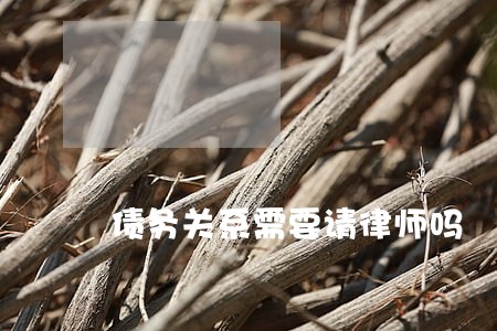 债务关系需要请律师吗