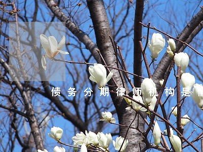 债务分期律师机构是假的吗 债务分期律师机构是假的吗