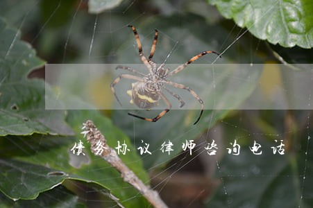 债务协议律师咨询电话