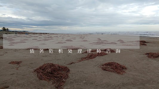 债务危机处理律师咨询