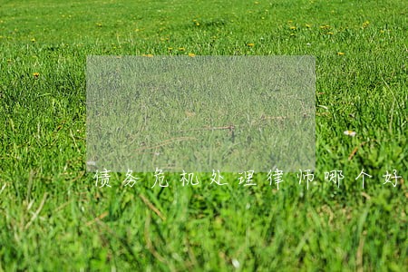 债务危机处理律师哪个好