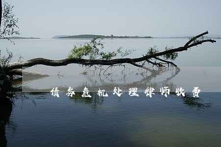 债务危机处理律师收费 债务危机处理律师收费