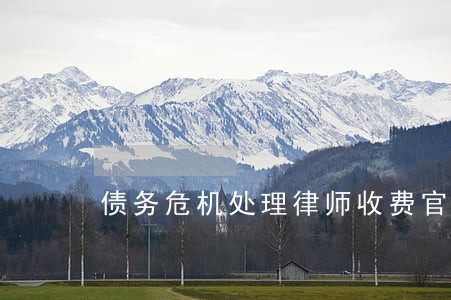 债务危机处理律师收费官司 债务危机处理律师收费官司