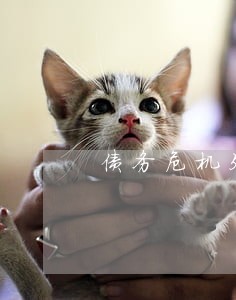 债务危机处理律师电话 债务危机处理律师电话