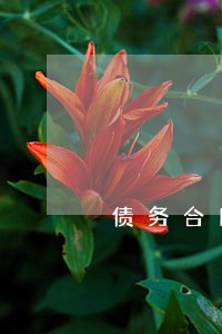 债务合同律师服务电话 债务合同律师服务电话