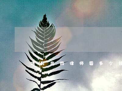 债务合同律师要多少钱 债务合同律师要多少钱