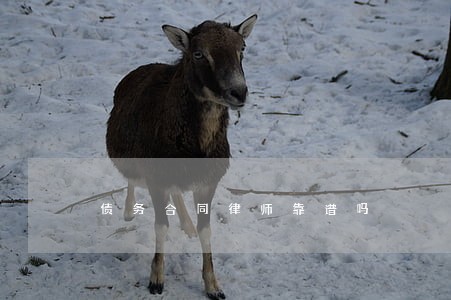 债务合同律师靠谱吗 债务合同律师靠谱吗