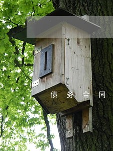债务合同的律师收费标准