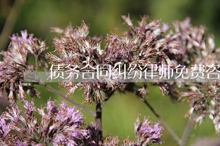 债务合同纠纷律师免费咨询官司 债务合同纠纷律师免费咨询官司