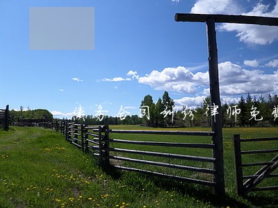 债务合同纠纷律师免费咨询问题 债务合同纠纷律师免费咨询问题