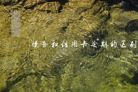 债务和信用卡逾期的区别 债务和信用卡逾期的区别