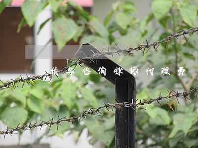 债务咨询律师代理费 债务咨询律师代理费