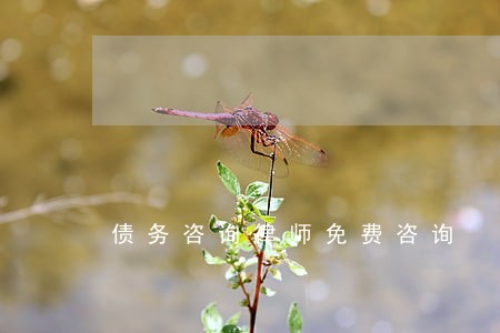 债务咨询律师免费咨询 债务咨询律师免费咨询