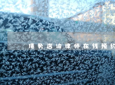 债务咨询律师在线预约 债务咨询律师在线预约