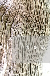 债务咨询律师怎么找