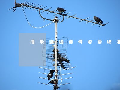 债务咨询律师收费标准 债务咨询律师收费标准