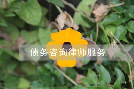 债务咨询律师服务