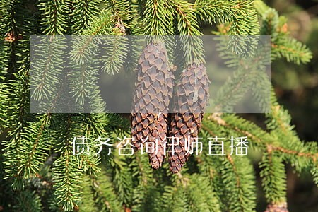 债务咨询律师直播 债务咨询律师直播