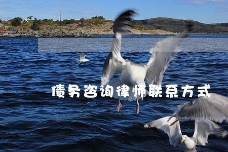 债务咨询律师联系方式 债务咨询律师联系方式