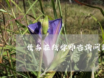 债务在线律师咨询问题 债务在线律师咨询问题