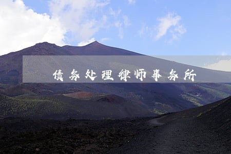 债务处理律师事务所 债务处理律师事务所