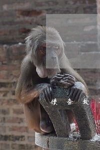 债务处理律师咨询电话 债务处理律师咨询电话