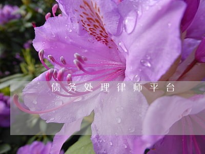 债务处理律师平台 债务处理律师平台