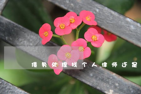 债务处理找个人律师还是律所 债务处理找个人律师还是律所