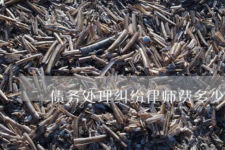 债务处理纠纷律师费多少 债务处理纠纷律师费多少