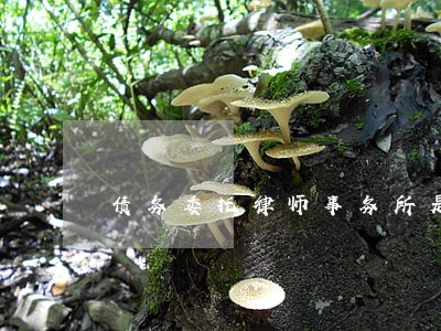 债务委托律师事务所是直接开庭吗 债务委托律师事务所是直接开庭吗