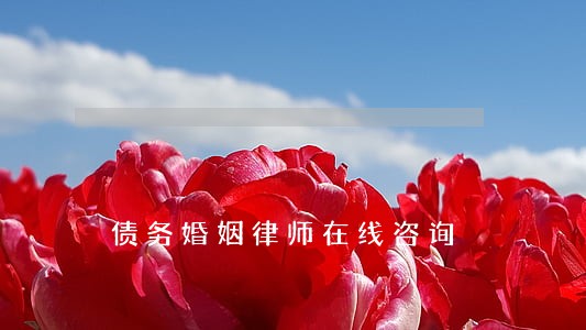 债务婚姻律师在线咨询 债务婚姻律师在线咨询