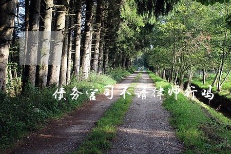 债务官司不请律师行吗 债务官司不请律师行吗