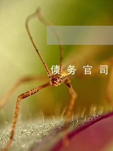 债务官司律师一般多少钱咨询 债务官司律师一般多少钱咨询