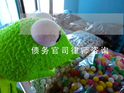 债务官司律师咨询 债务官司律师咨询