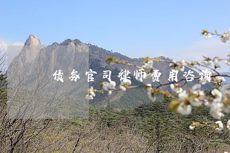债务官司律师费用咨询 债务官司律师费用咨询