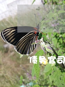 债务官司律师费谁出 债务官司律师费谁出