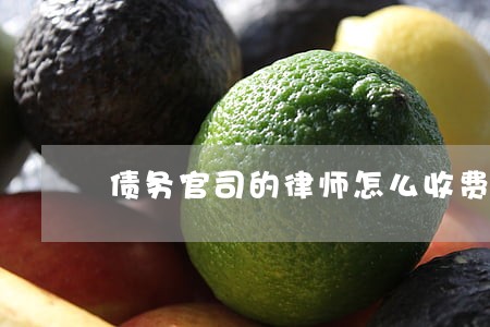 债务官司的律师怎么收费 债务官司的律师怎么收费