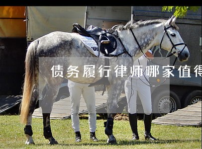 债务履行律师哪家值得信赖 债务履行律师哪家值得信赖