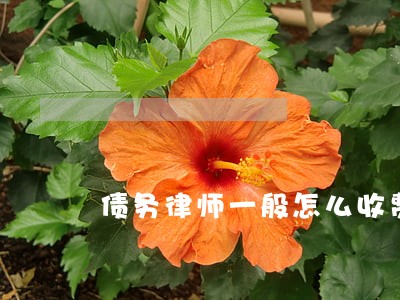 债务律师一般怎么收费咨询